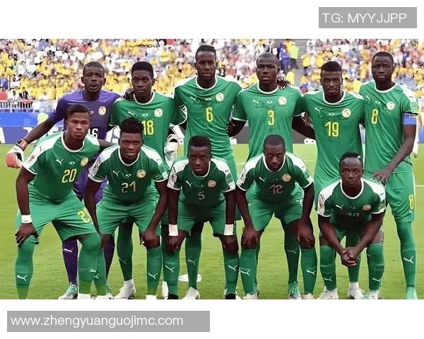 埃及与比利时精彩对决视频回顾及赛后分析分享 埃及与比利时精彩对决视频回顾及赛后分析分享