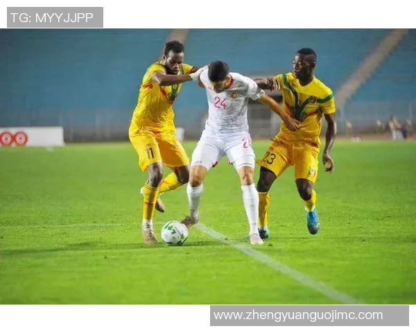 埃及与突尼斯足球对决直播全程回顾精彩瞬间分析