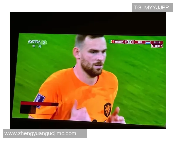 塞内加尔VS贝尔直播