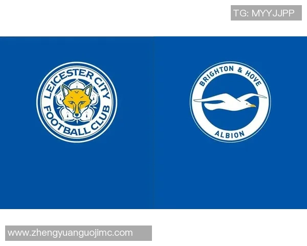 莱斯特城与布莱顿精彩对决直播全程回顾与分析