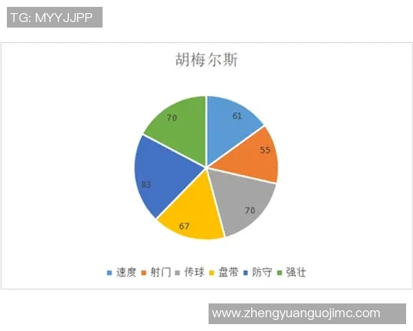 专业分析：北京极限运动队的防守策略与战术执行细节