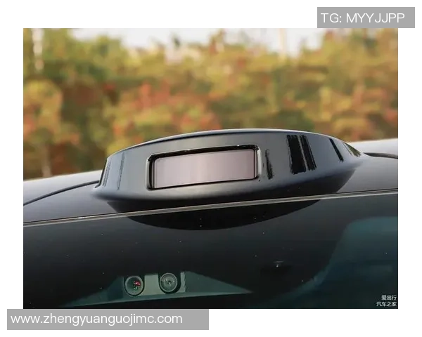 武汉排球队在洲际杯积分榜上以62分稳居第一名展现强劲实力